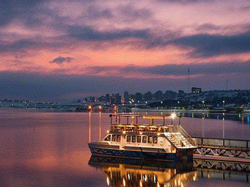 تصاویر